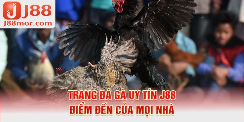 1-trang-da-aga-uy-tin-j88-diem-den-cua-moi-nha