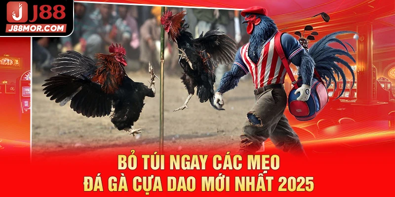 Bỏ túi ngay các mẹo đá gà cựa dao mới nhất 2025