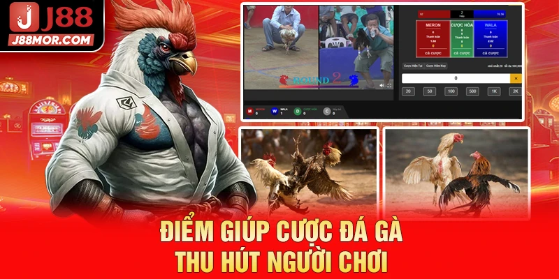 Điểm giúp cược đá gà thu hút người chơi