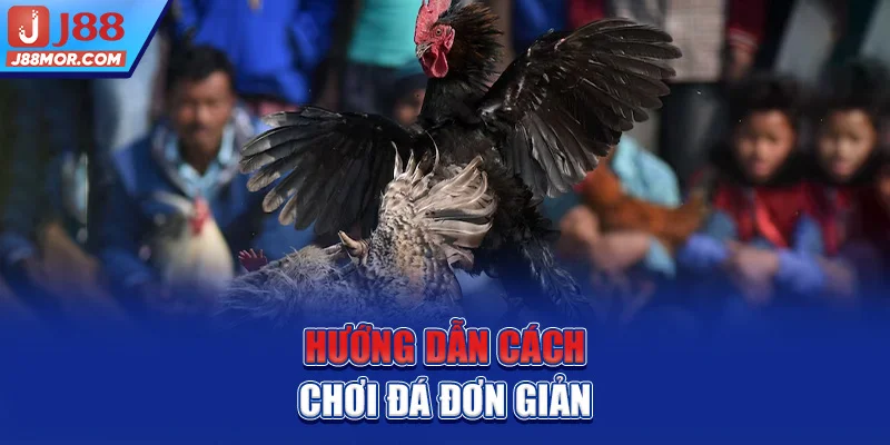 Hướng dẫn cách chơi đá đơn giản