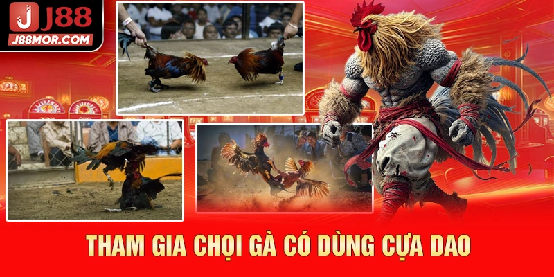 Tham gia chọi gà có dùng cựa dao