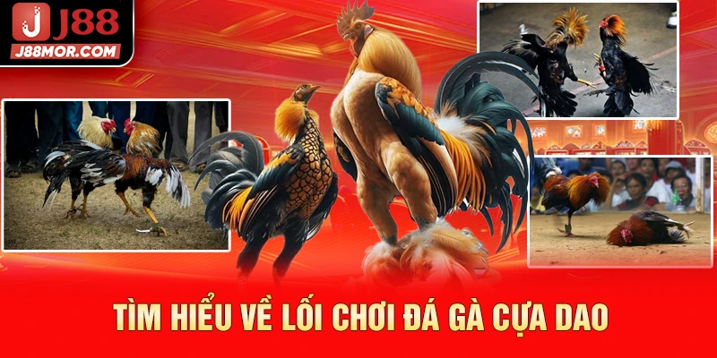 Tìm hiểu về lối chơi đá gà cựa dao