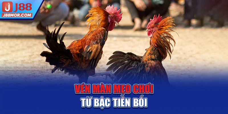 Vén màn mẹo chơi từ bậc tiền bối